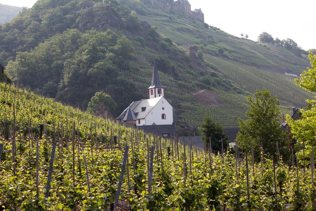 Winzerhof Brachtendorf อัลเคน ภายนอก รูปภาพ